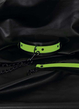 Glow in the Dark Collar with Leash