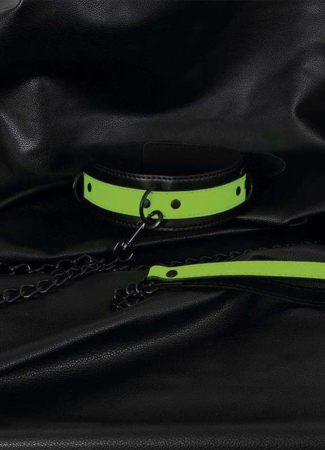 Glow in the Dark Collar with Leash