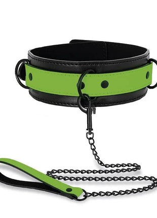 Glow in the Dark Collar with Leash