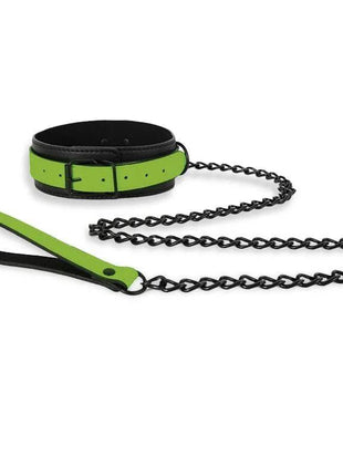Glow in the Dark Collar with Leash