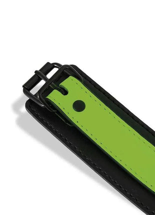Glow in the Dark Collar with Leash