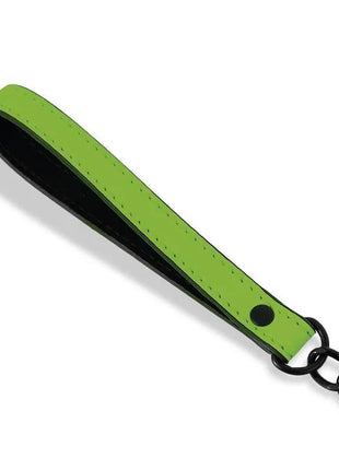 Glow in the Dark Collar with Leash
