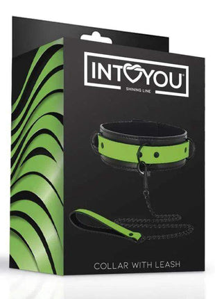 Glow in the Dark Collar with Leash