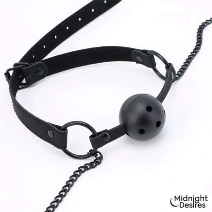 Ball Gag with Nipple Clamps