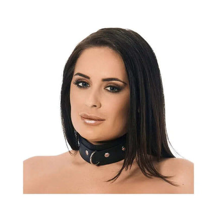 Leather Collar with Studs and D-Ring M L