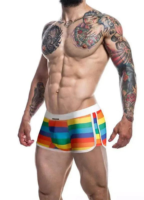 C4M06 Athletic Trunk RainbowSlips, Thongs and Boxerssecretsextoys.store