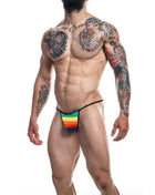 C4M12 Briefkini Rainbow - Secretsextoys.store
