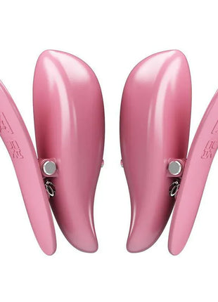 Cailey Nipple Clamps with Vibration and Remote