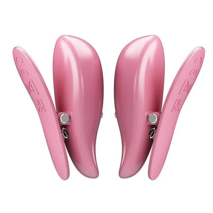 Cailey Nipple Clamps with Vibration and Remote