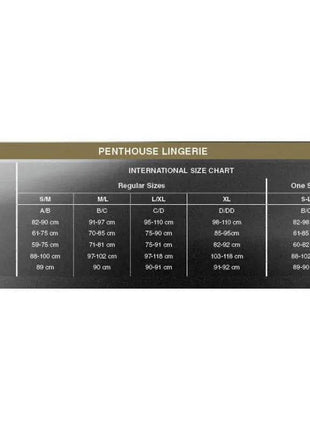 Catch Me Panties White - Secretsextoys.store