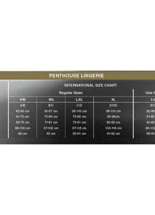 Cautious Cat Mesh Dress size chart showing lingerie measurements across regular and one-size categories