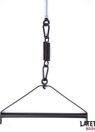 Ceiling Swing