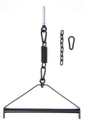 Ceiling Swing