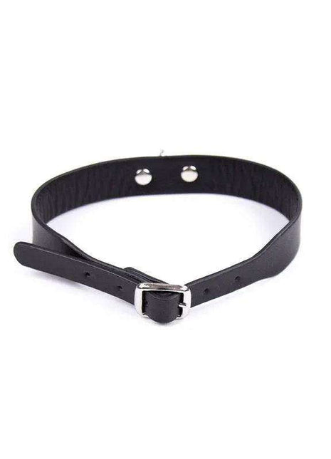 Collar Adjustable 43 cm in black with a smooth leather-like strap, metal buckle and adjustable fastening holes