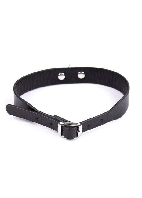 Black adjustable dog collar 43 cm comfortable durable