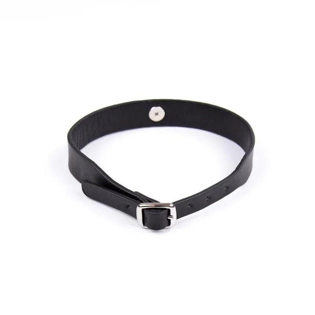 Adjustable black pet collar with built-in bell for safety and style