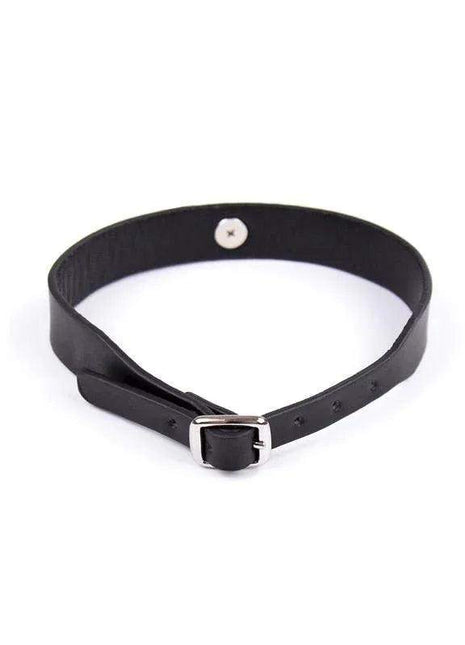 Collar with Bell in black leather-look material, featuring adjustable buckle holes and a silver-tone buckle; no bell is visible.