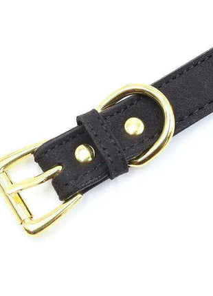 Collar with Bow and Rattle in black material with gold-tone buckle, ring and rivets; no bow or rattle is visible.
