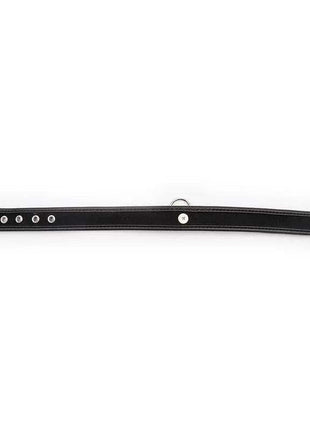 black collar with hoop fashion accessory