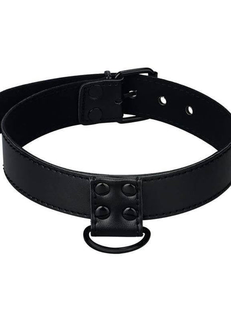 Collar with Leash Black Matt