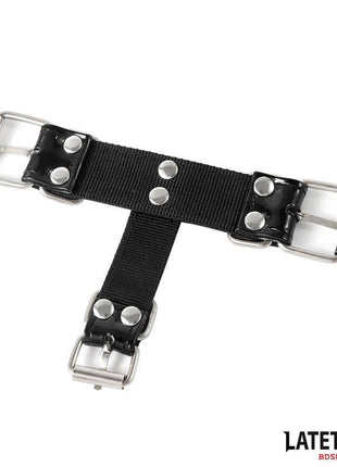 Collar with Nose Hook