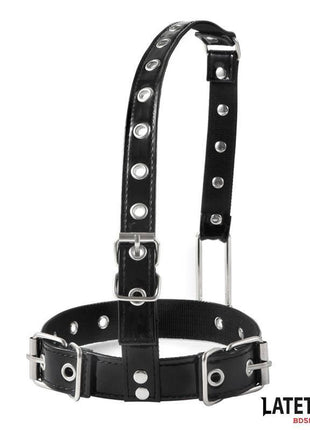 Collar with Nose Hook