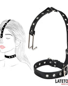 Collar with Nose Hook