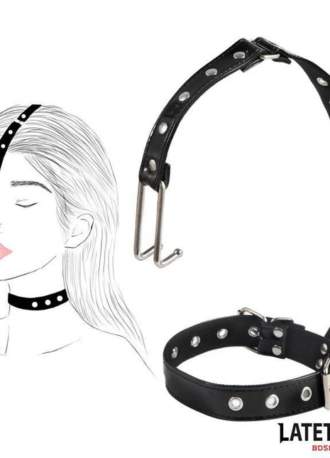 Collar with Nose Hook