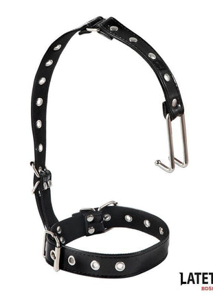 Collar with Nose Hook