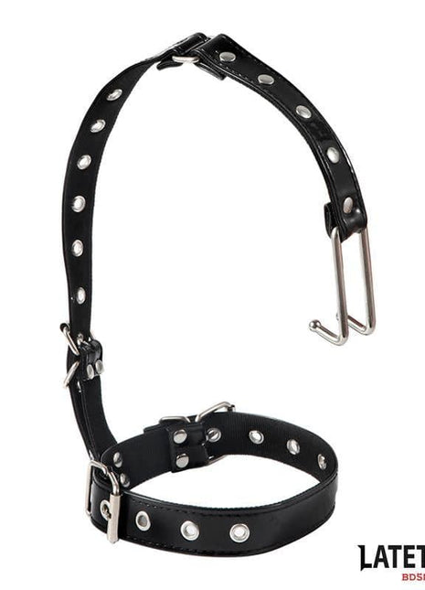 Collar with Nose Hook