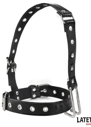 Collar with Nose Hook