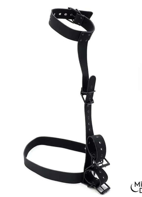 Collar and Wrist Cuffs Body Restraint Set