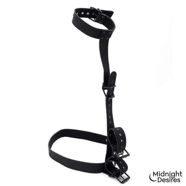 Collar and Wrist Cuffs Body Restraint Set