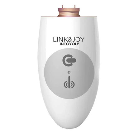 Link & Joy Controller USB rechargeable