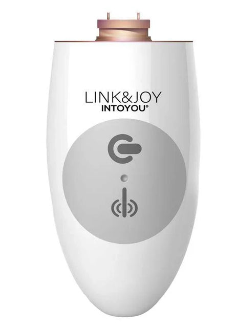 Link & Joy Controller USB rechargeable