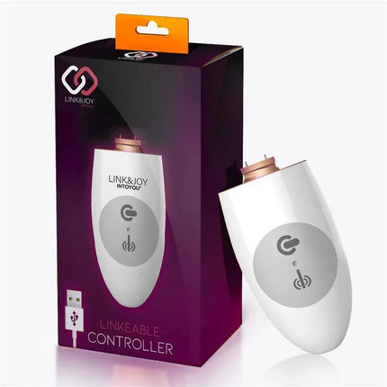 Link & Joy Controller USB rechargeable