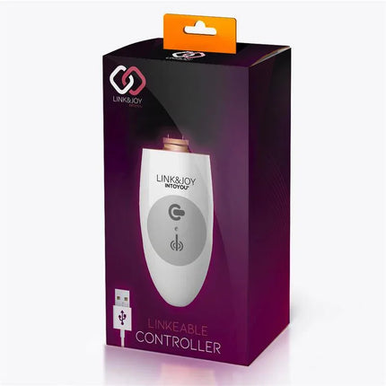 Link & Joy Controller USB rechargeable