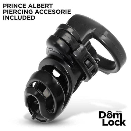 Detention Chastity Cage for Prince Albert Piercing