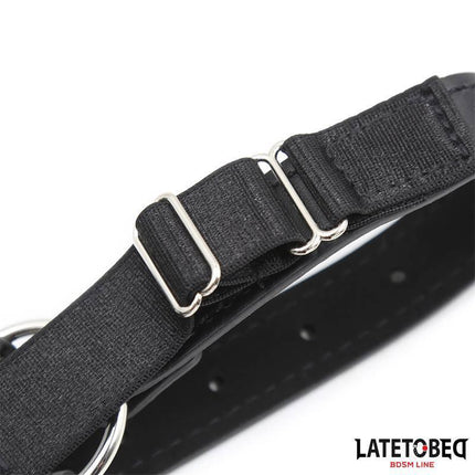 Head Harness with Ball Gag and Nose Hook