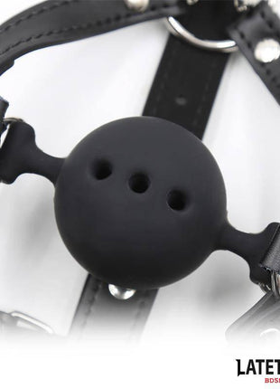 Head Harness with Ball Gag and Nose Hook