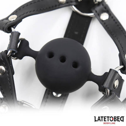 Head Harness with Ball Gag and Nose Hook