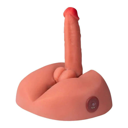 Honey Masturbator with Thrusting and Vibrating 3.2 kg