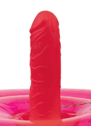 Inflatable Vibrating Cushion with Dildo and Remote Ding Dong