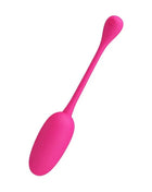 Knucker Silicone Vibrating Egg with 12 Modes