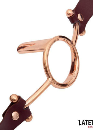 Leather O Ring Gag