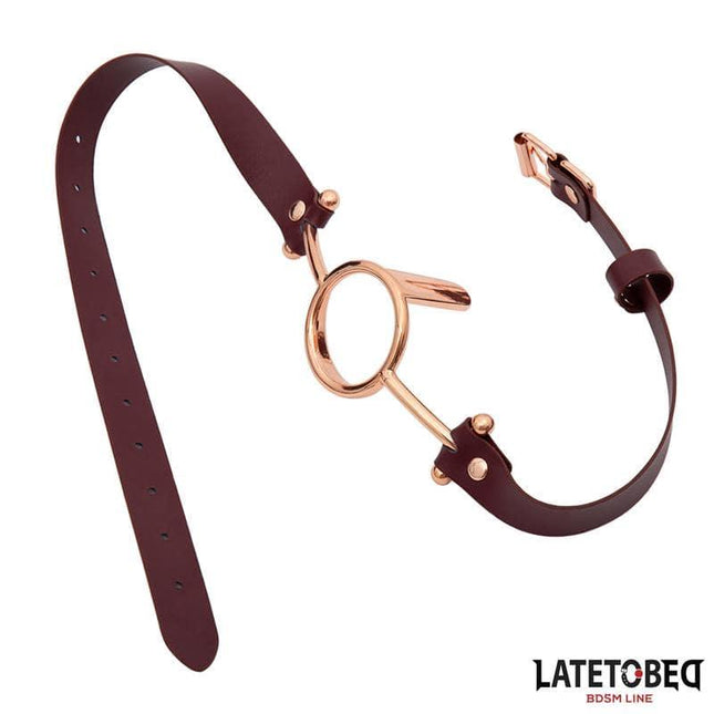 Leather O Ring Gag