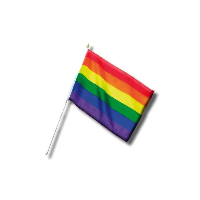 LGBT+ Pride Pennant Small 30cm