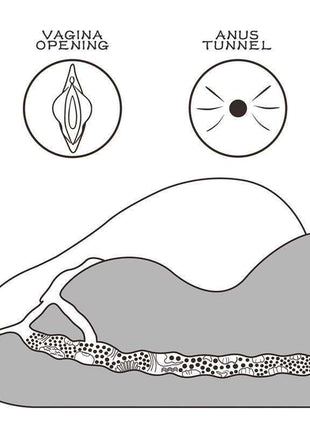 Masturbator Streetgirls 2 shown in a black-and-white diagram with a gray sleeve and illustrated vaginal and anal openings
