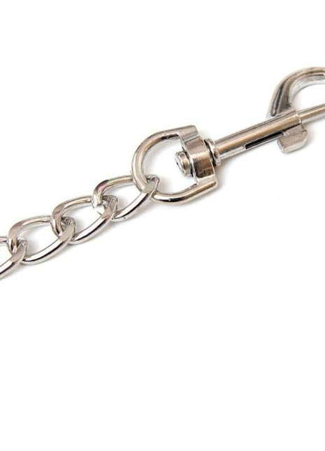 Metal Chain Leash