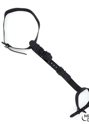 Collar and Wrist Cuffs Body Restraint Set